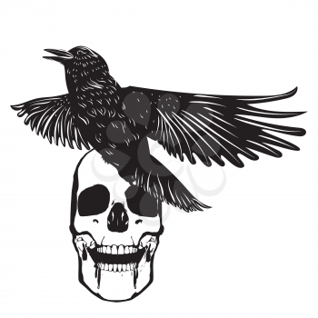 Black and white human skull with crow grunge illustration.