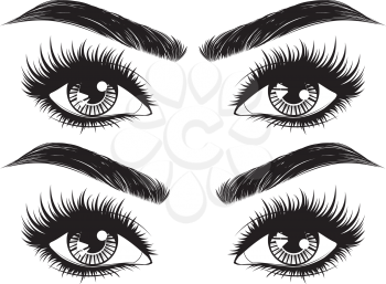 Female eyes with long black eyelashes and thick brows on white background.