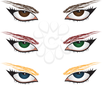 Woman eyes of different colors with eyebrows on white background.