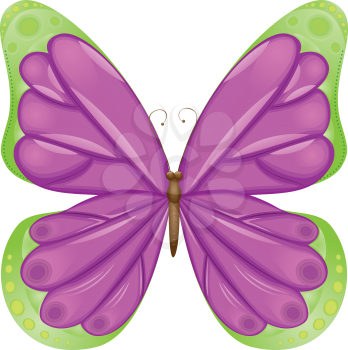 Abstract butterfly of green and violet colors on white background.