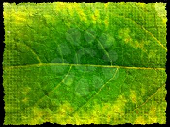 grunge fragment of leaf close up background
