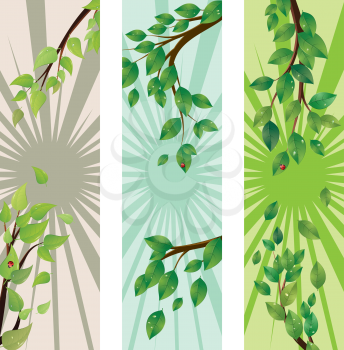 Spring, summer themed banner with green leaves on a tree branch.