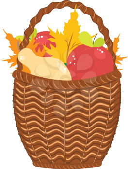 Cartoon basket with apples, pears and autumn maple leaves.