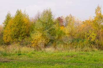 Fall season in the countryside, peaceful landscape.