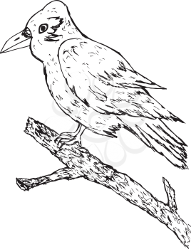 Grunge hand drawn illustration of a big crow sitting on a branch.