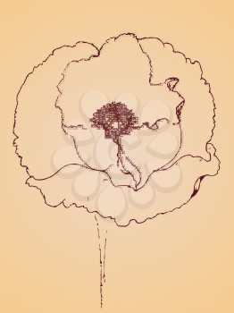 Grunge sketch of poppy flowers on yellow paper background.