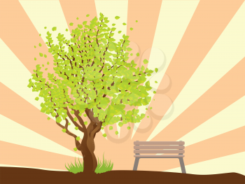 Illustration of summer tree with green leaves and bench on background with rays.