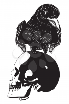 Black and white human skull with crow grunge illustration.