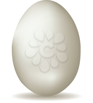 White chicken egg, illustration was made with gradient mesh.