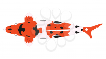 Decorative orange japanese fish koi carp illustration.
