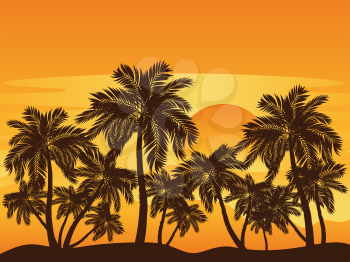 Tropical landscape with palm trees at sunset.