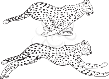 Stylized cheetah silhouette in running pose design illustration.