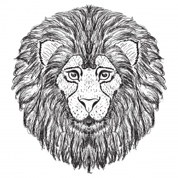 Abstract lion head, portrait in retro style illustration.