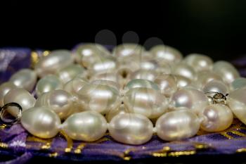 Natural white freshwater pearl necklace close up background.