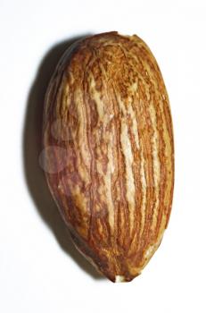 Close up of almond seed on white background, macro photo.