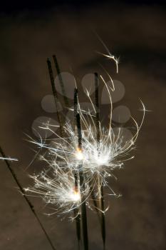 Bright holiday bengal fires sparks in the winter night.                       