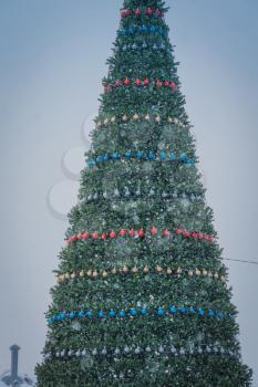 Fir tree decorated with colorful balls for Christmas time.