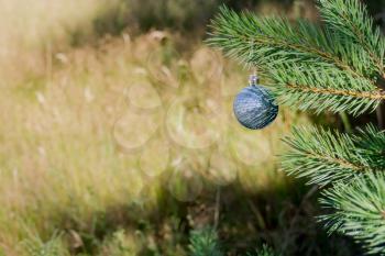 Decorative silver Christmas ball on a fir tree branch background.