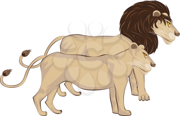 Male and female lions standing, cartoon animals illustration.