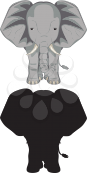 Big grey elephant, cute cartoon character design.