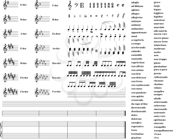 Large set of all music signs, keys, tonality and note staves for note transcription isolated on white