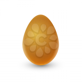 Realistic brown egg with shadow isolated on white
