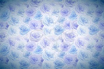 Bright blue and white rosebuds, flowers wide detailed background