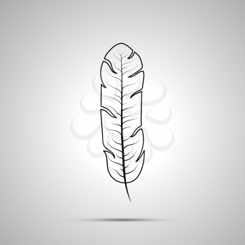 Detailed feather outline simple black icon with shadow