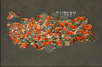 Roughly sketched out Map of Turkey as business concepts
