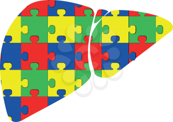 Liver with puzzle red blue green yellow icon black color vector illustration isolated