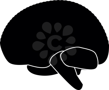 Brain it is black color icon .