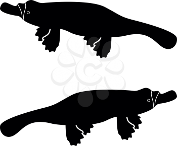Platypus or duckbill icon black color vector illustration flat style simple image