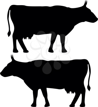 Cow icon black  fill color set Flat illustration