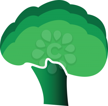 Broccoli icon . It is flat style