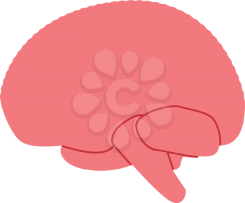 Brain icon . Different color . Simple style .