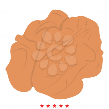 Walnut icon Illustration color fill simple style