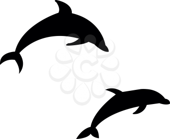 Dolphin Clipart