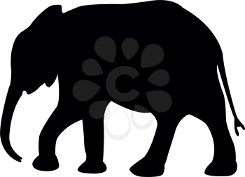 Trunk Clipart