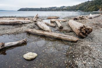 Piles of driftwood line the shore at Seahurst Beach Park in Burien, Washington.