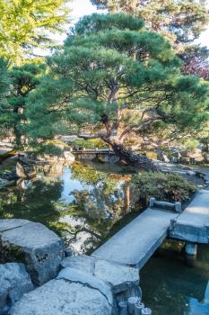 Trees and plants are refleced in a Japanese garden in Seatac, Washington.