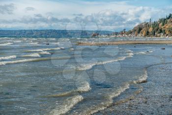 A view along the shoreline at Normandy Park, Washington on a windy day.