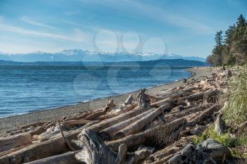 A view of the Olympic Mountains from Lincoln Park in West Seattle, Washington.