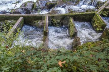 A close-up shot of a fish ladder on the Deschutes river in Tumwater, Washington.