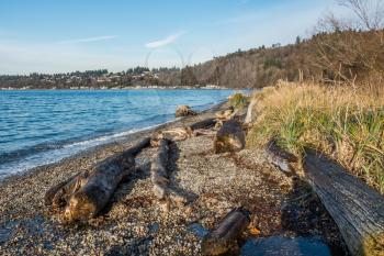 A view of the shoreline at Seahurst Park in Burien, Washington. It is December.