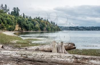 A veiw of the shoreline at Saltwater State Park in Washington State.