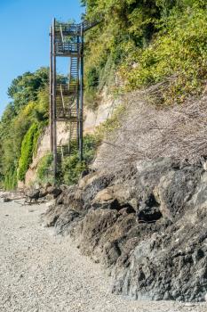 A vertical staircase rises straight up next to a hill at Saltwater State Park in Des Moines, Washington.