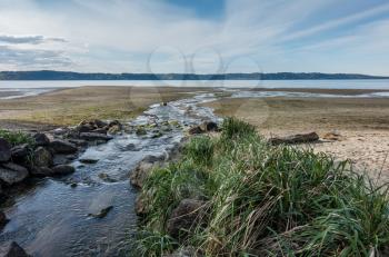 A stream flows across the shoreline and into the Puget Sound at Dash Pioint State Park in Washington State.
