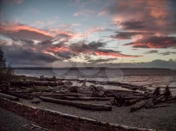 Pink wispy clouds fill the sky as the sun sets at Seahurst Park in Burien, Wahsington. Piles of logs fill the foreground.