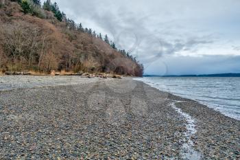 Aview of trees and the shoreline at Seahurst Park in Burien, Washingotn.