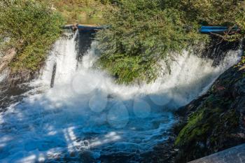 Closeup shot of a secton of Tumwater Falls with busher hanging over the water.
